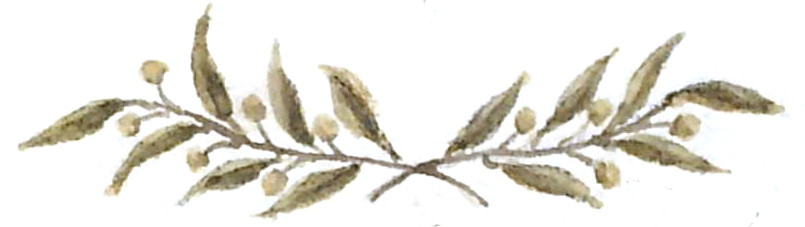 Sprig of mistletoe